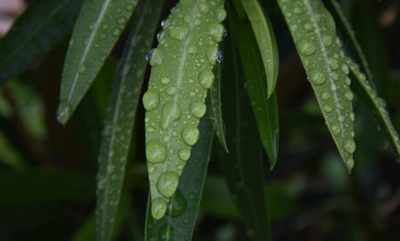 call drop frequency study