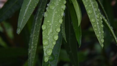 dropped call frequency report