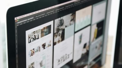 edits downloads and info