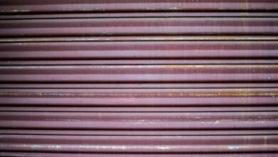 inbanithi age biography overview