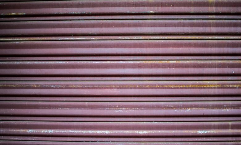 inbanithi age biography overview