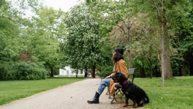 intas ffr login instructions