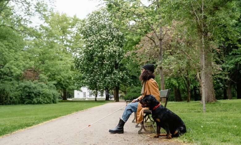 intas ffr login instructions