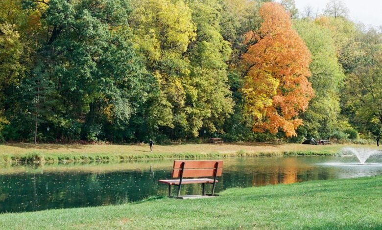 movie download guide features