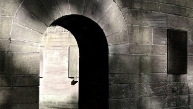 portal access information provided