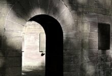 udsm portal login details